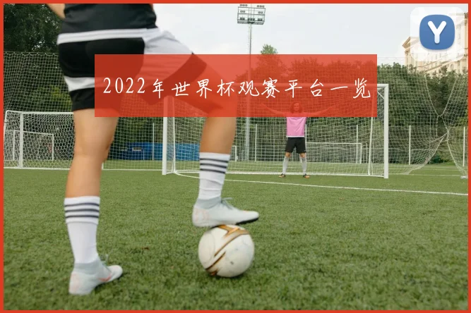 2022年世界杯观赛平台一览