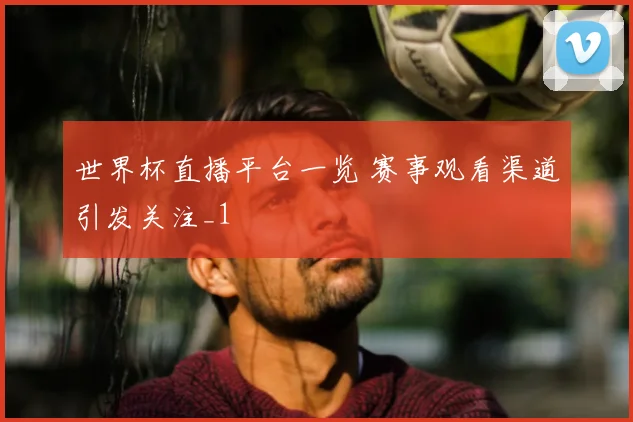 世界杯直播平台一览 赛事观看渠道引发关注_1