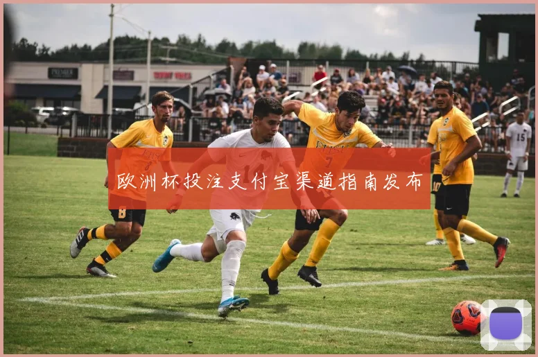 欧洲杯投注支付宝渠道指南发布