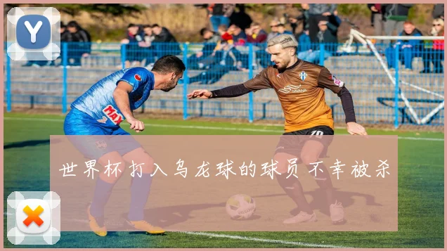 世界杯打入乌龙球的球员不幸被杀